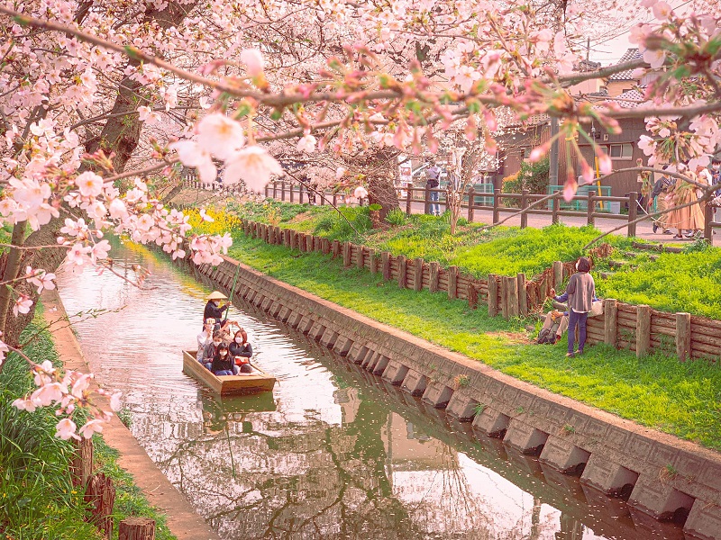 25.JPN.A7